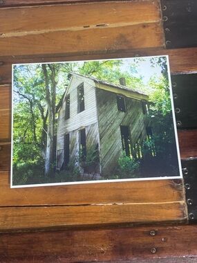 Rustic Abandoned House Metallic Photo Print - Green & Tan Tones